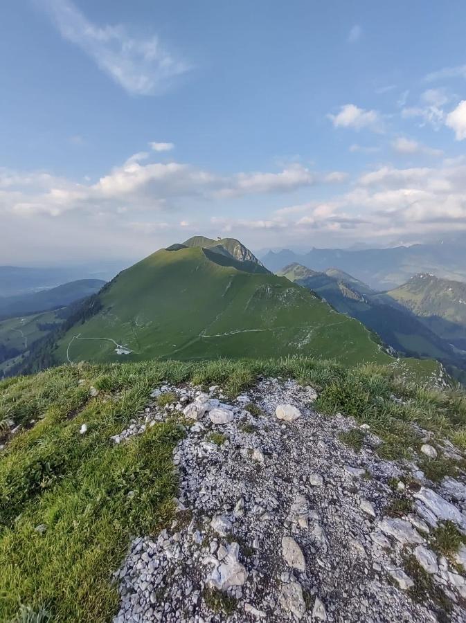 Boutique Hotel Corbetta - Spa 60M2 - La Montagne A 5 Minutes De L'Autoroute A12 Aux Paccots Sur Montreux - Nouveau Loft Familial - Profitez Du Lac Leman Et Des Montagnes En Meme Temps Les Paccots Экстерьер фото