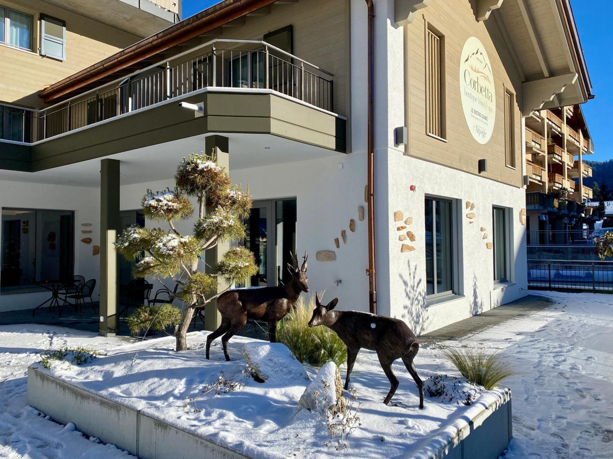 Boutique Hotel Corbetta - Spa 60M2 - La Montagne A 5 Minutes De L'Autoroute A12 Aux Paccots Sur Montreux - Nouveau Loft Familial - Profitez Du Lac Leman Et Des Montagnes En Meme Temps Les Paccots Экстерьер фото